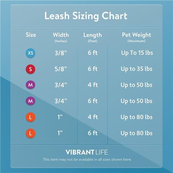 Padded Anti-Shock Dog Leash, Black, Large, 6' - Picture 5 of 5